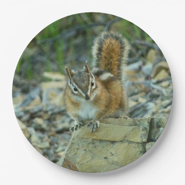 Chipmunk in Glacier National Park Paper Plates (Front)