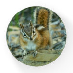 Chipmunk in Glacier National Park Paperweight