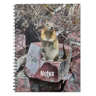 Chipmunk in Glacier National Park Photograph Notebook