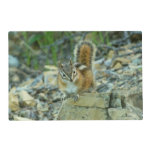 Chipmunk in Glacier National Park Placemat