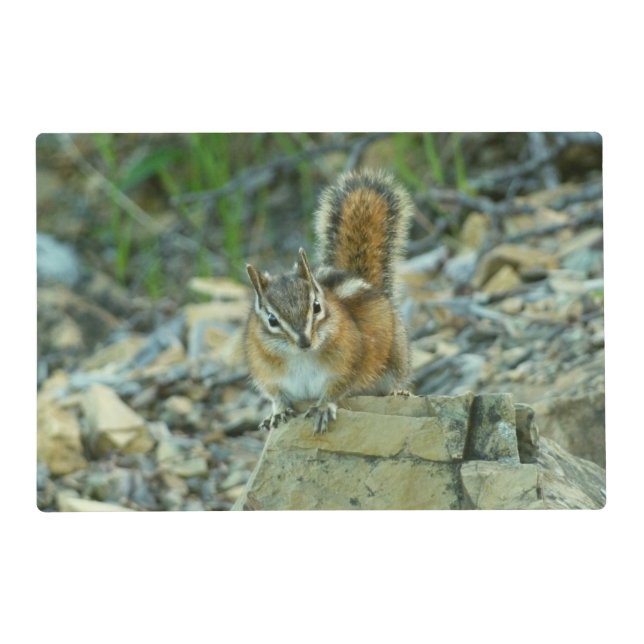 Chipmunk in Glacier National Park Placemat (Front)