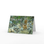 Chipmunk in Glacier National Park Thank You Card