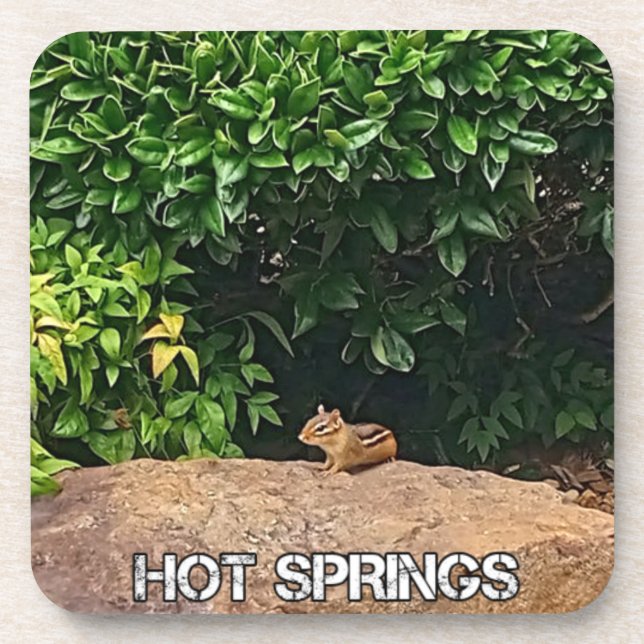 Chipmunk in Hot Springs Beverage Coaster (Front)