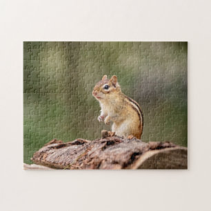 Chipmunk in the Adirondacks Jigsaw Puzzle
