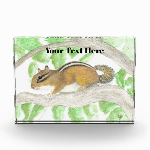 Chipmunk in the Apple Tree Acrylic Award