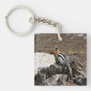 Chipmunk in Yosemite, California Keychain