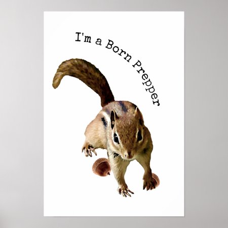 Chipmunk Is a Born Prepper