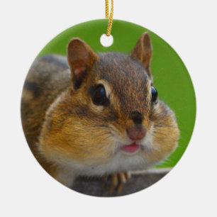 chipmunk is full ceramic ornament