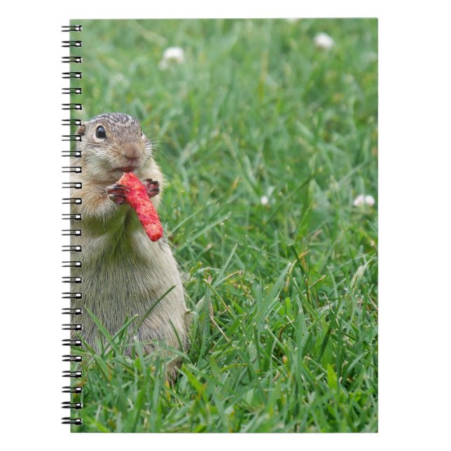 Chipmunk.JPG Notebook (Front)