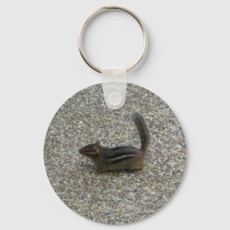 Chipmunk Keychain