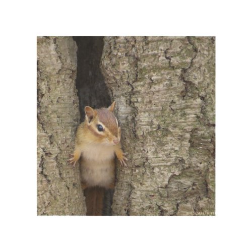 Chipmunk Lookout Wood Wall Art