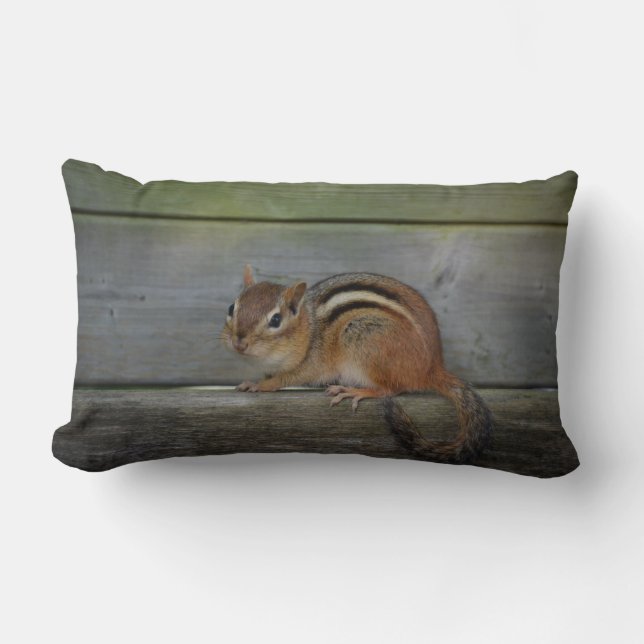 chipmunk lumbar pillow (Front)