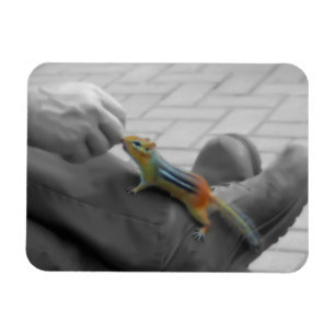 Chipmunk Lunch Magnet