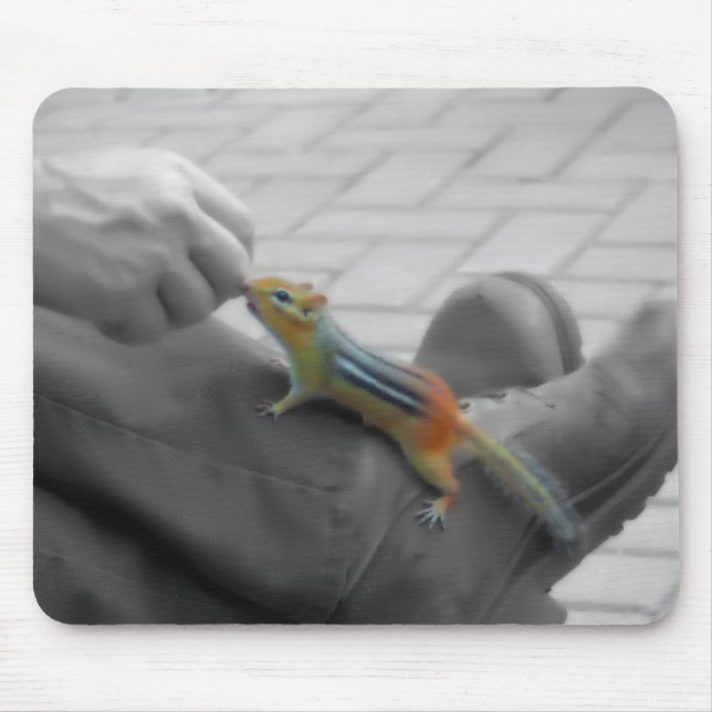Chipmunk Lunch Mouse Pad (Front)