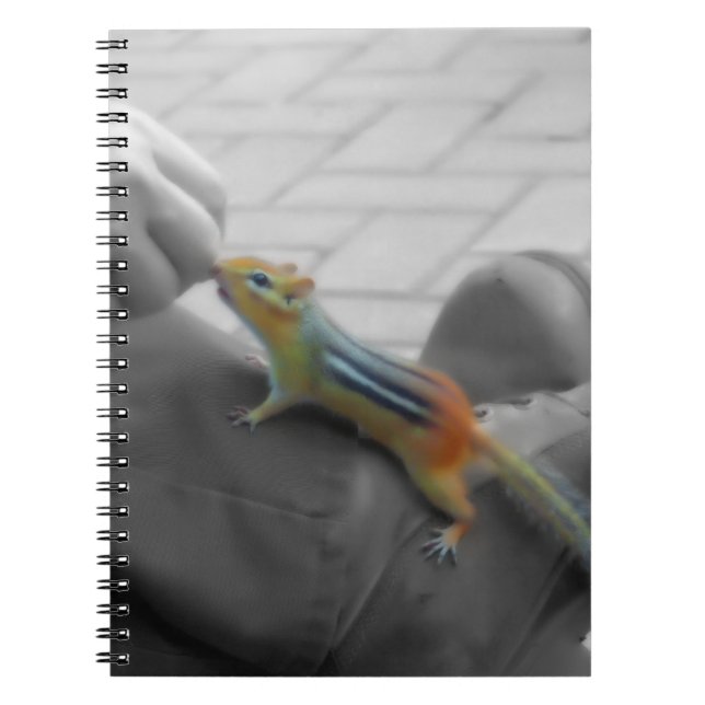 Chipmunk Lunch Notebook (Front)