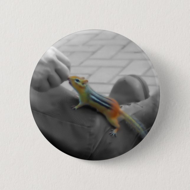 Chipmunk Lunch Pinback Button (Front)