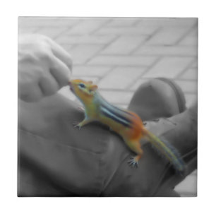 Chipmunk Lunch Tile