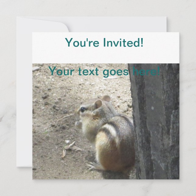 Chipmunk Midland Ontario Invitation (Front)