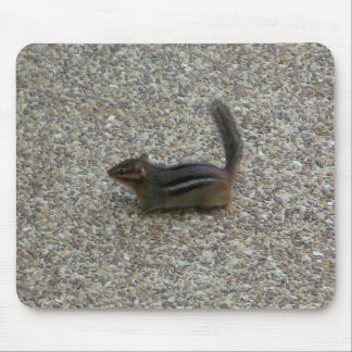 Chipmunk Mouse Pad