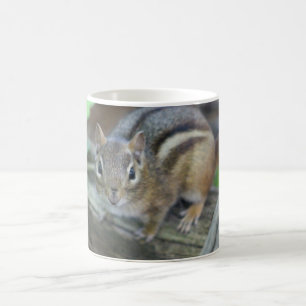 Chipmunk mug