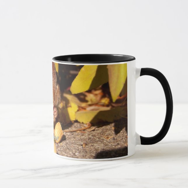 Chipmunk -Mug Mug (Right)