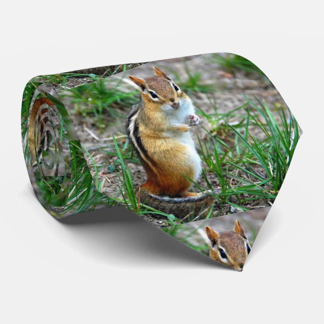 Chipmunk Neck Tie (Rolled)