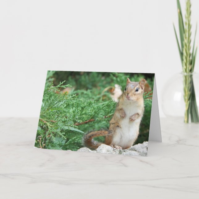 Chipmunk Notecard (Front)