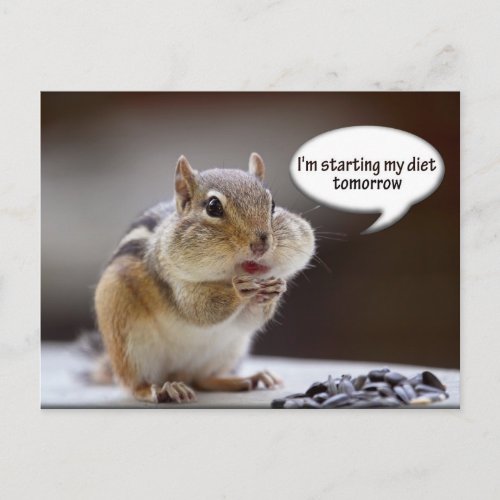 Chipmunk on a Diet Photo Postcard