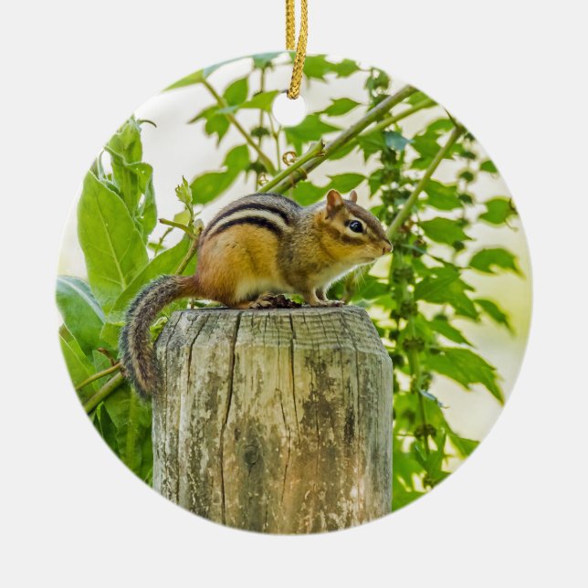 Chipmunk on a Fence Post Ceramic Ornament (Front)