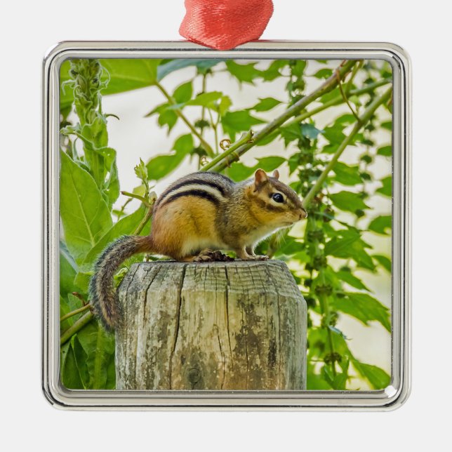 Chipmunk on a Fence Post Metal Ornament (Front)
