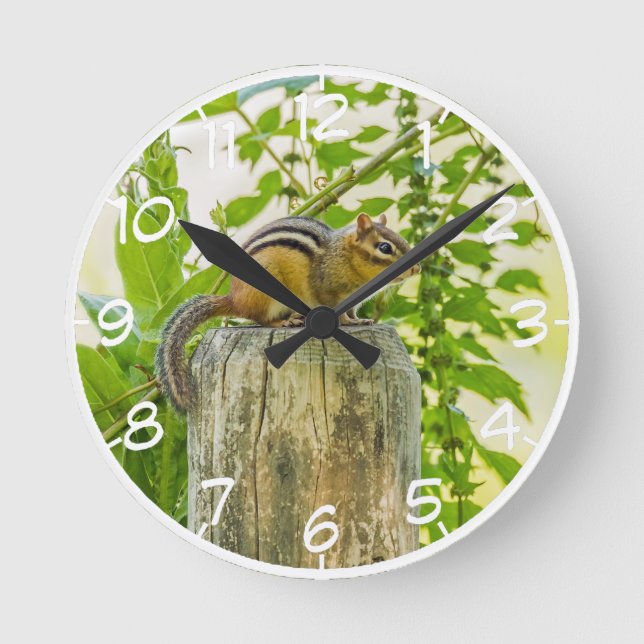 Chipmunk on a Fence Post Round Clock (Front)