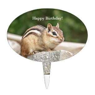 Chipmunk on a rock cake topper