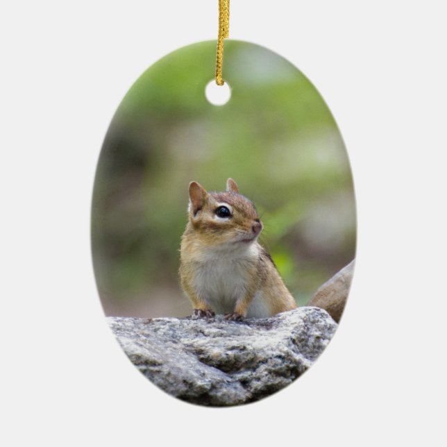 Chipmunk on a rock ceramic ornament (Front)