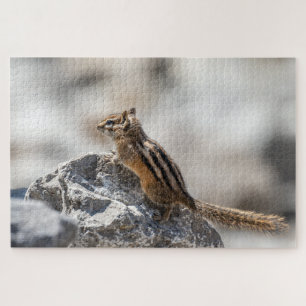 Chipmunk on the Rocks – Wildlife Snapshot Jigsaw Puzzle