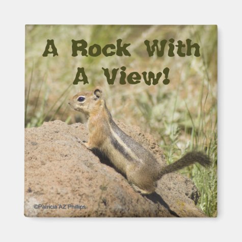 Chipmunk Peering Over A Rock