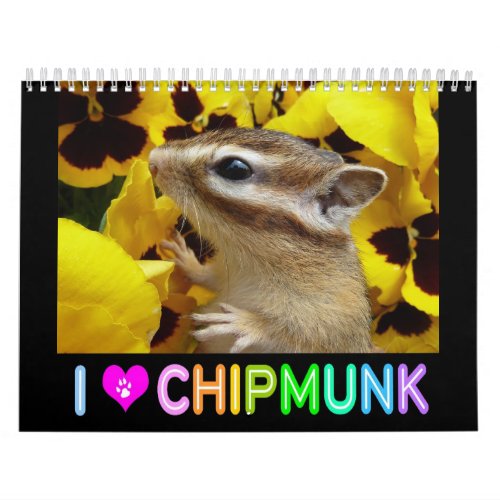 Chipmunk photo　3 calendar