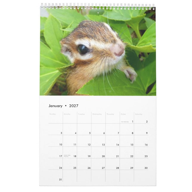Chipmunk photo　(4) calendar (Jan 2027)