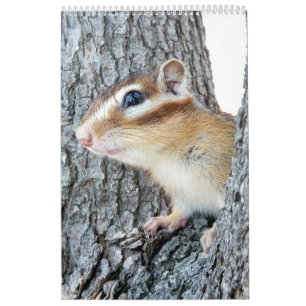Chipmunk photo (4) calendar