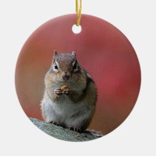 Chipmunk photo ceramic ornament