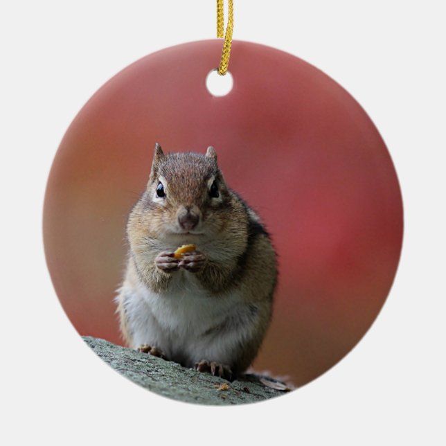 Chipmunk photo ceramic ornament (Front)