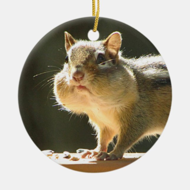 Chipmunk photo ceramic ornament (Front)