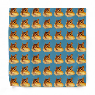 Chipmunk Photo Handkerchief! シマリスのフォト・ハンカチ！ Bandana