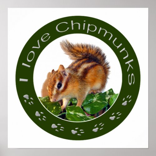 Chipmunk photo poster