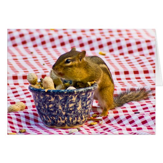 Chipmunk Picnic Cards (Front Horizontal)