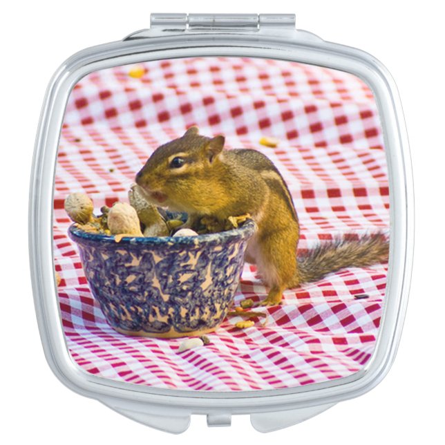 Chipmunk Picnic Compact Mirror (Front)