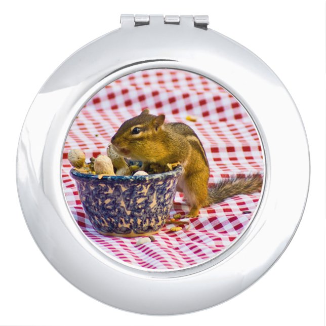Chipmunk Picnic Makeup Mirror (Front)