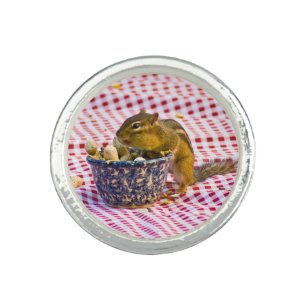 Chipmunk Picnic Ring