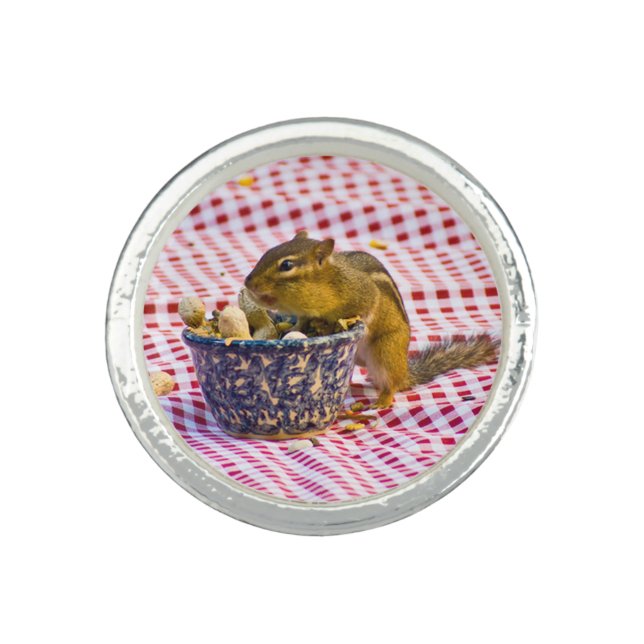 Chipmunk Picnic Ring (Front)