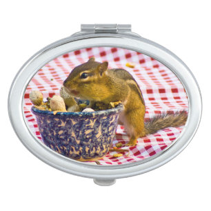 Chipmunk Picnic Vanity Mirror