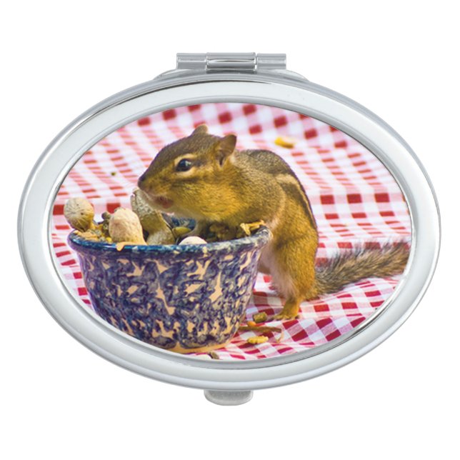Chipmunk Picnic Vanity Mirror (Front)